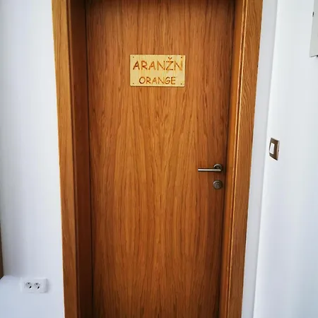 And Anica טולמין